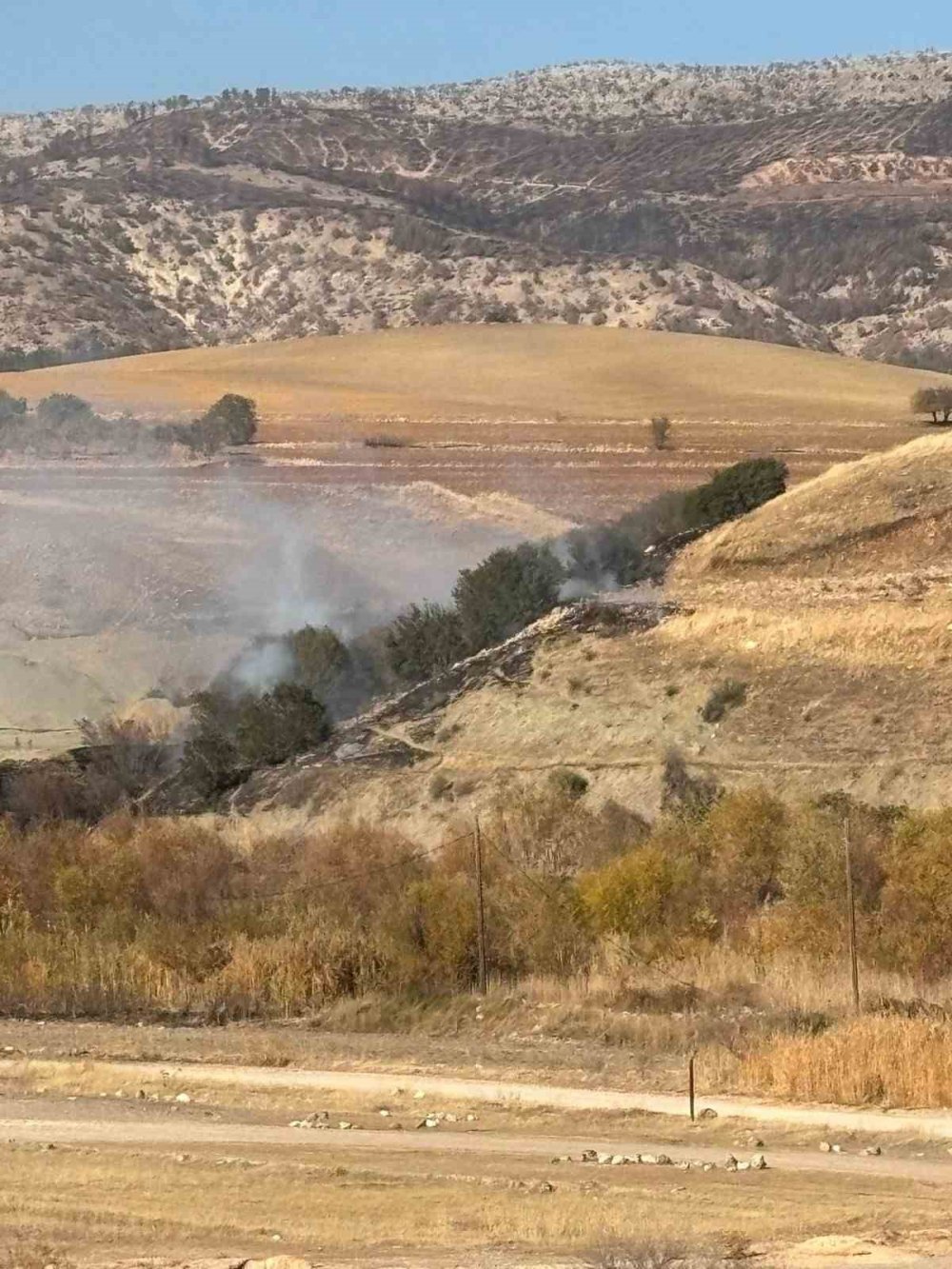 Besni'de ormanlık alanda korkutan yangın