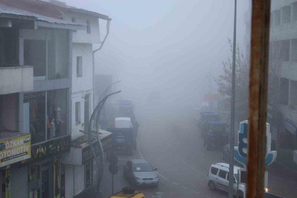 Muş'un Malazgirt ilçesinde sis etkili oldu