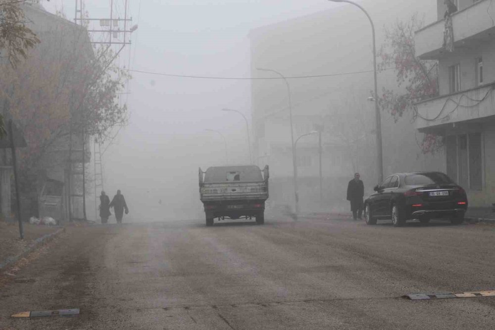 Muş'un Malazgirt ilçesinde sis etkili oldu