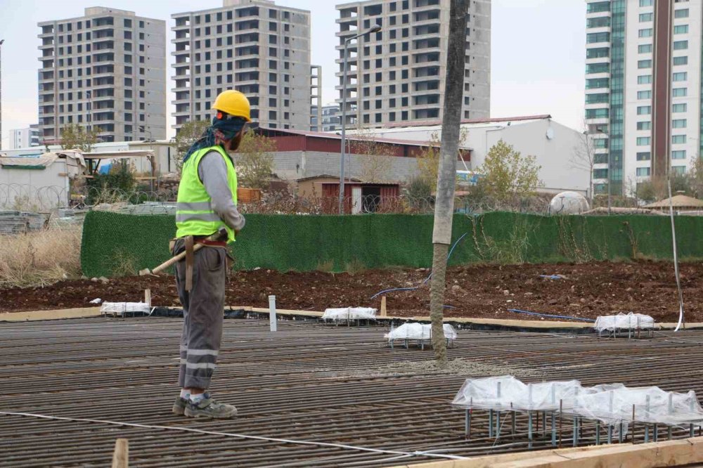Diyarbakır’da 14 bin metrekarelik alana tıbbi ve aromatik bitki bahçesi kurulacak