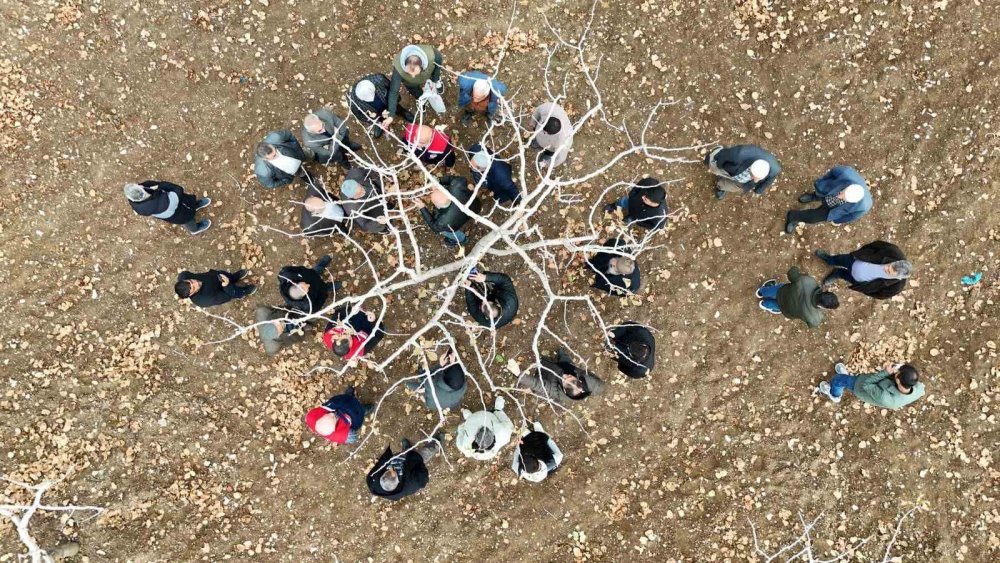 Siirt’te fıstık üreticilerine teorik ve pratik ‘budama’ ile ‘gübreleme’ eğitimi