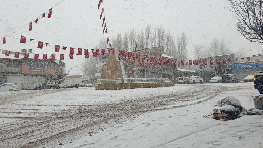 Başkale'de kar yağışı etkili oldu