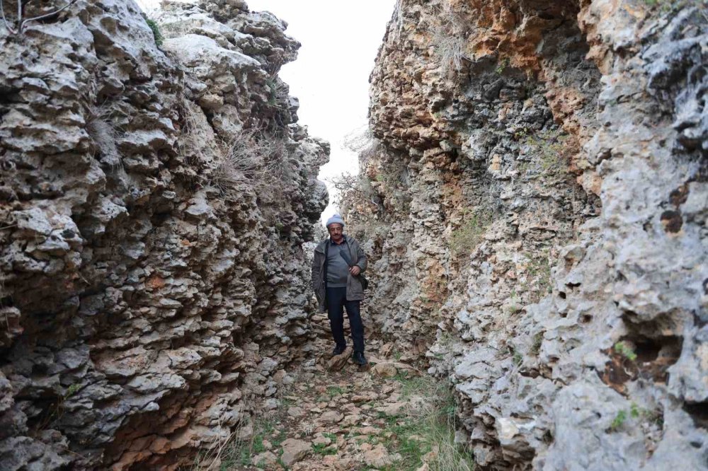 Diyarbakır’da yüz milyonlarca yıl önceye ait fosiller bulundu