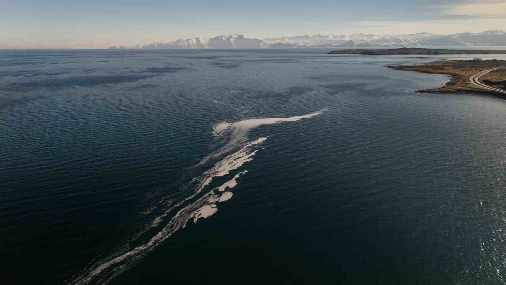 Van Gölü yüzeyindeki köpüklenme şaşırttı