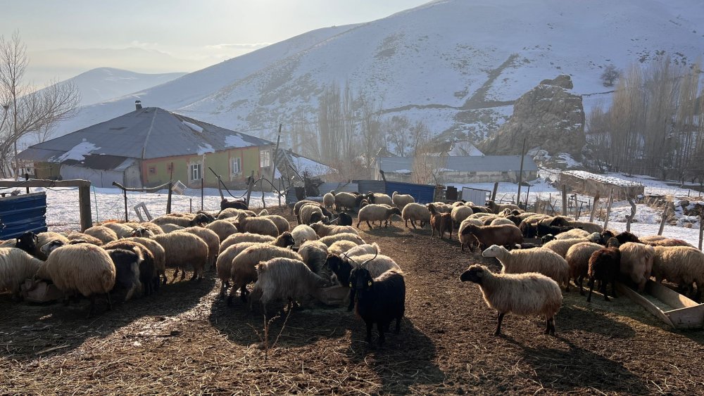 Yüksekova'da dondurucu soğuk, Şemdinli'de bahar havası