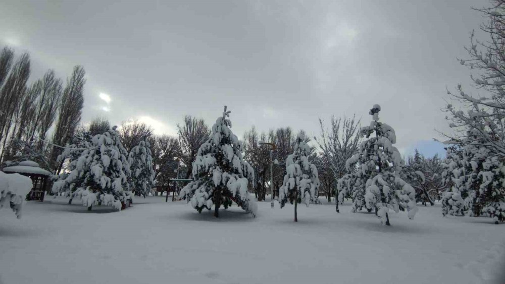 Van’da ağaçlar kartpostallık manzaralar oluşturdu