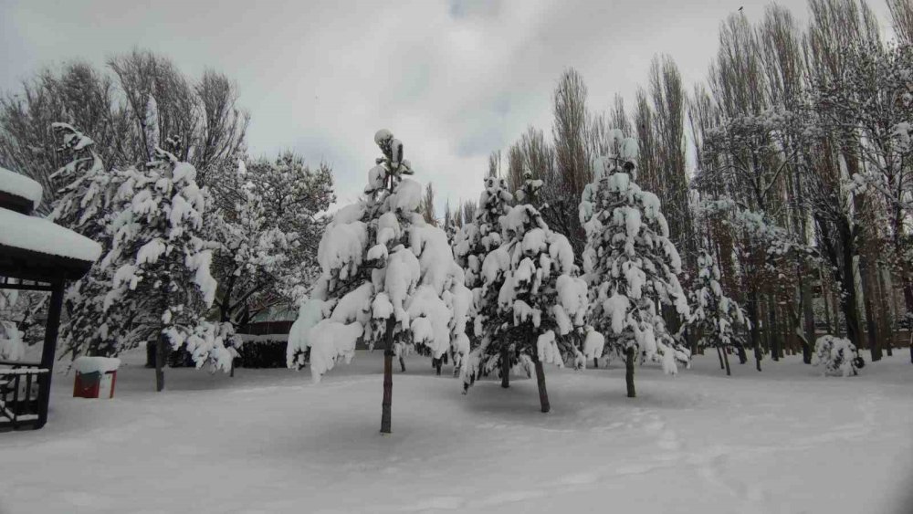 Van’da ağaçlar kartpostallık manzaralar oluşturdu