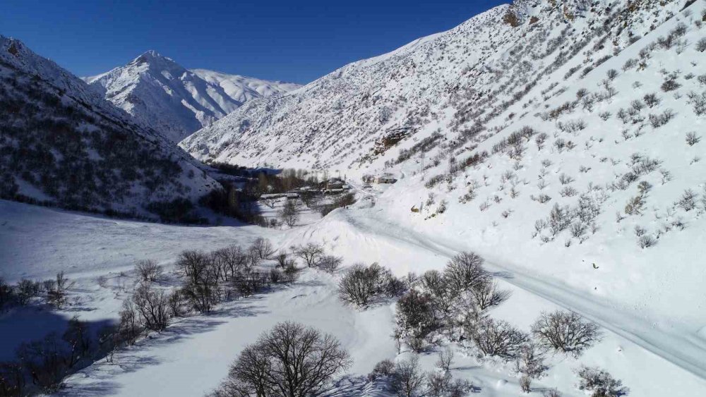 Çatak yolu çığ düşmeleri nedeniyle 4 gündür ulaşıma kapalı