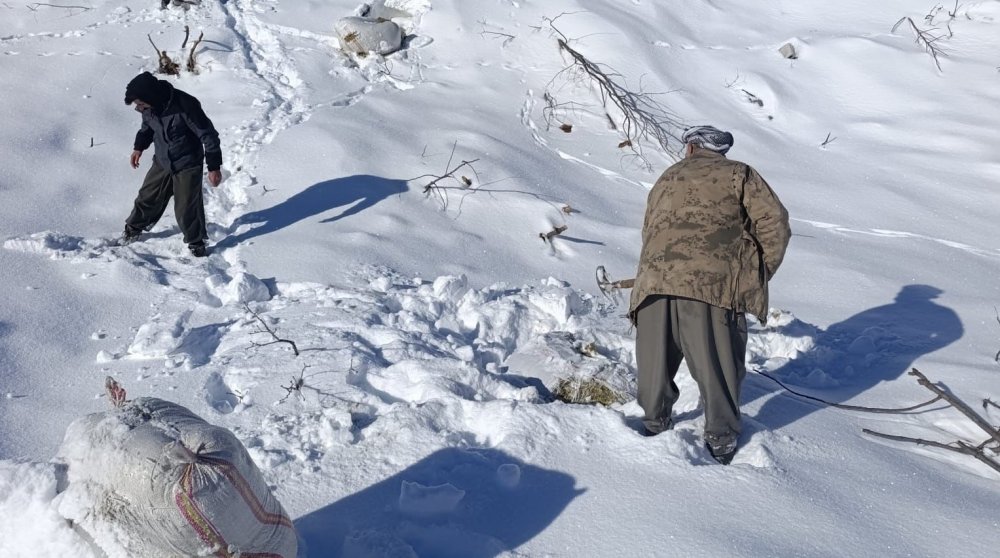 Çukurca'da ahırların üzerine çığ düştü, küçükbaş hayvanlar telef oldu