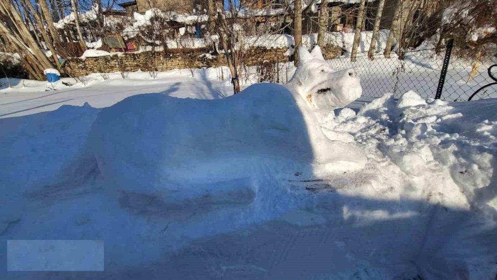 Hakkarili gençten kardan köpek figürü