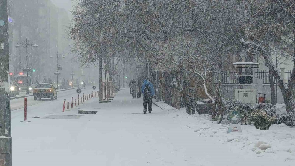 Van’da 405 yerleşim yerinin yolu kapandı