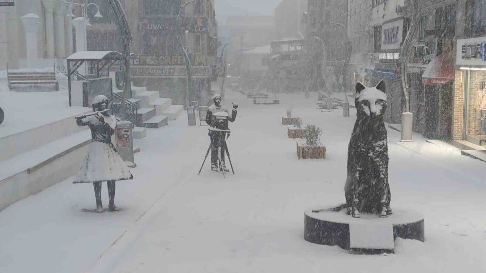 Van’da 405 yerleşim yerinin yolu kapandı