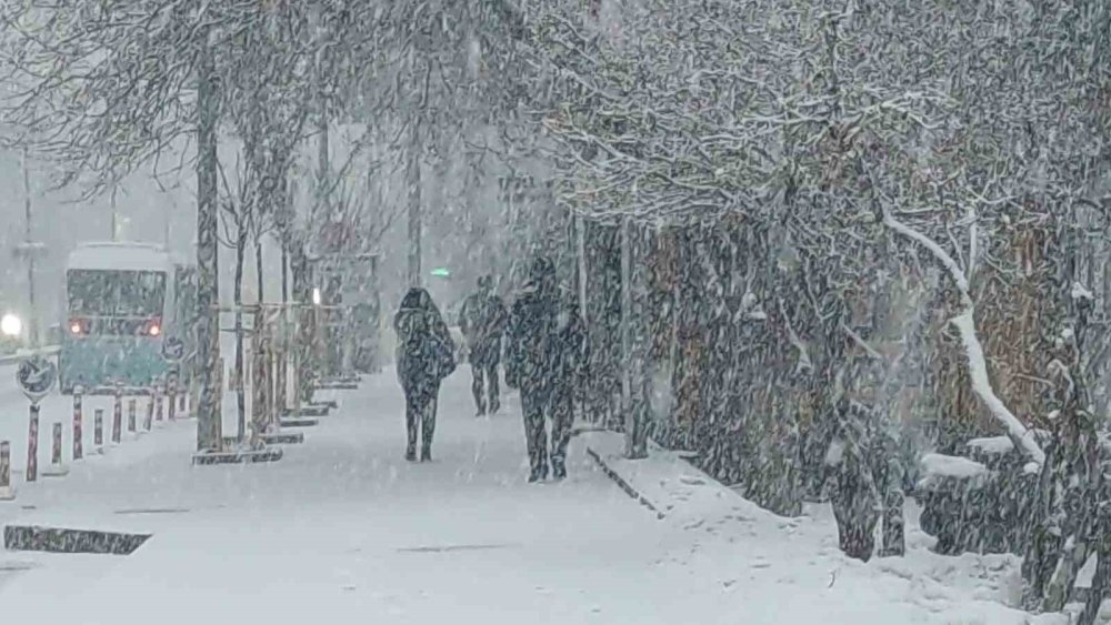 Van’da 405 yerleşim yerinin yolu kapandı