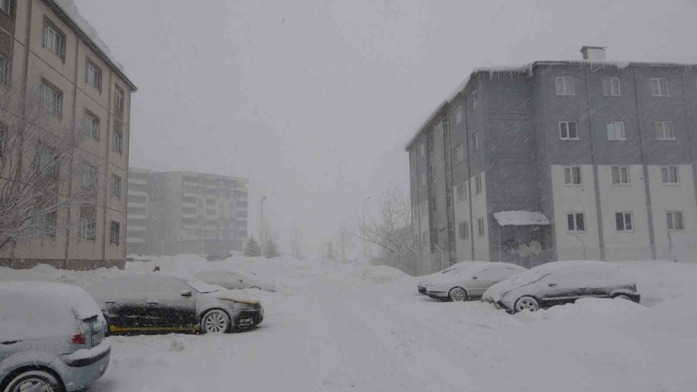 Bitlis’te kar yağışı nedeniyle 51 köy yolu ulaşıma kapandı