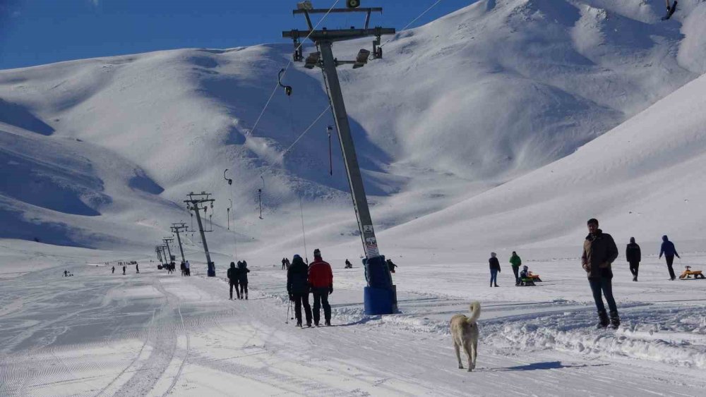 Yoğun kar yağışı Gevaş'taki Kayak Merkezi’ni yeniden hareketlendirdi