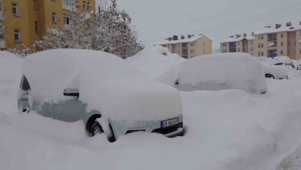 Bitlis’te tek katlı evler kardan kayboldu, 314 köy yolu ulaşıma kapandı