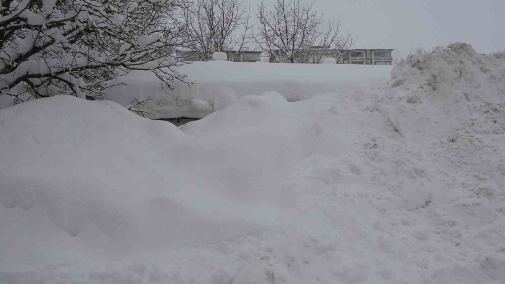 Bitlis’te tek katlı evler kardan kayboldu, 314 köy yolu ulaşıma kapandı