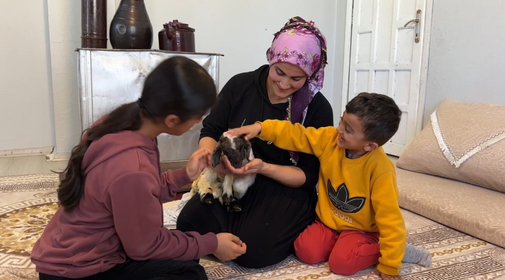 Annesiz kalan kuzu Alan ailesinin ‘Umut’u oldu