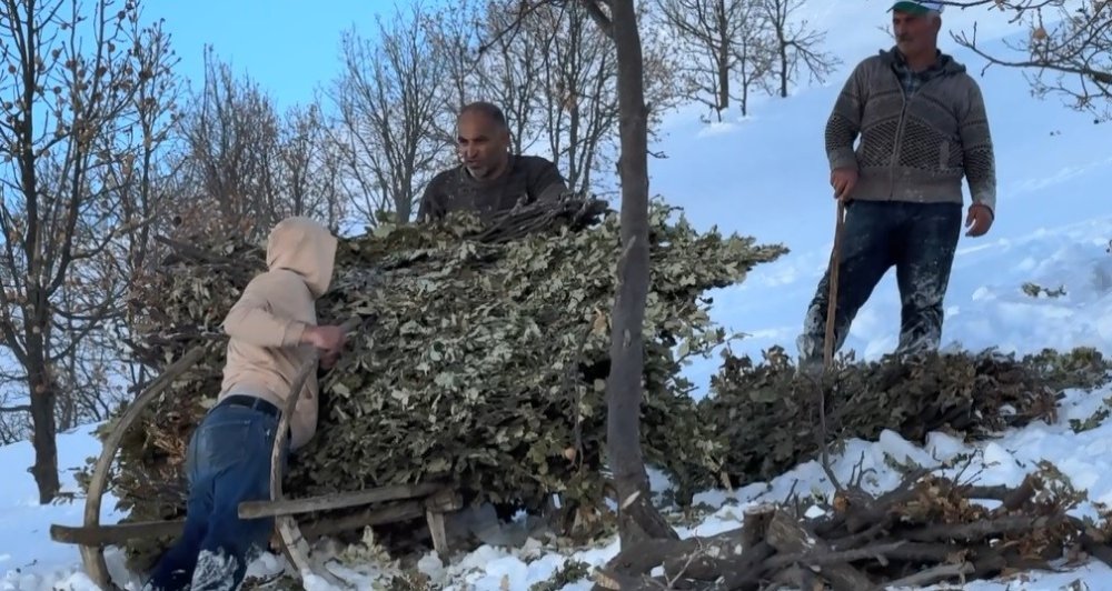 Bitlis’te hayvanlar için kızaklı yem mesaisi