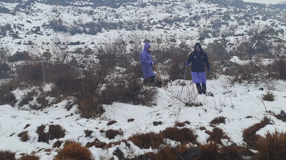 Diyarbakır’da kayıp kadından 8 gündür haber alınamıyor