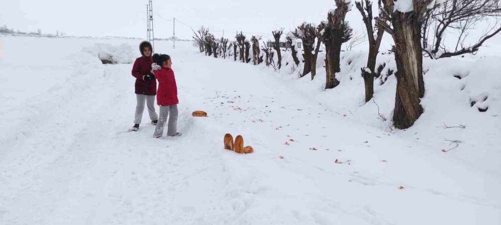 İki kardeşten yaban hayvanlarına şefkat eli