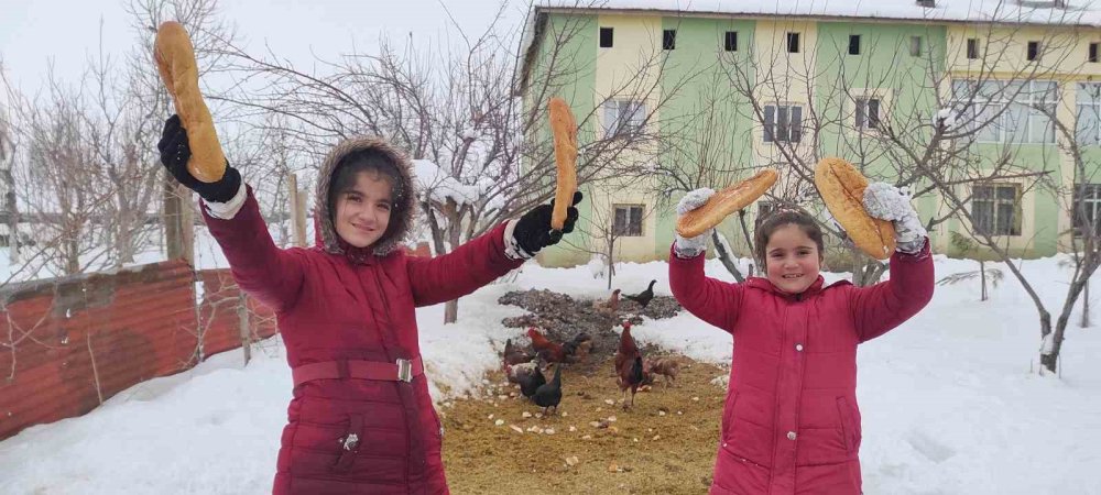 İki kardeşten yaban hayvanlarına şefkat eli