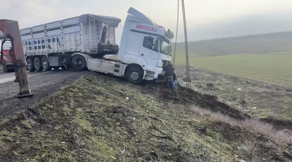 Nusaybin'de kontrolden çıkan tır yol kenarına savruldu