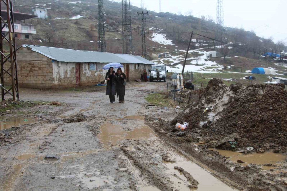 Chicago’da ev bakarken, kendini Şırnak’ta buldu