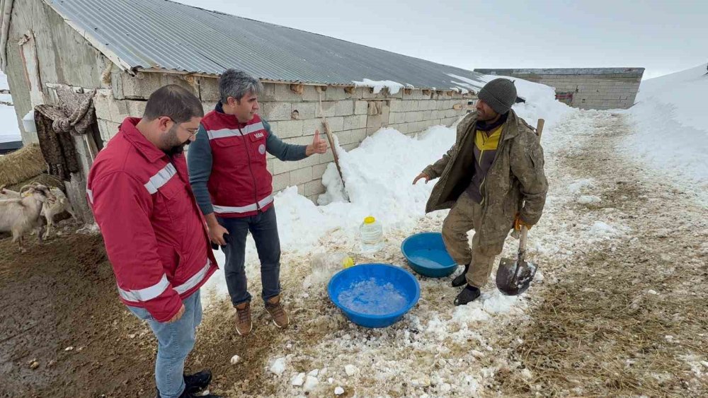 Suların donduğu bölgedeki hayvanlara su götürüldü