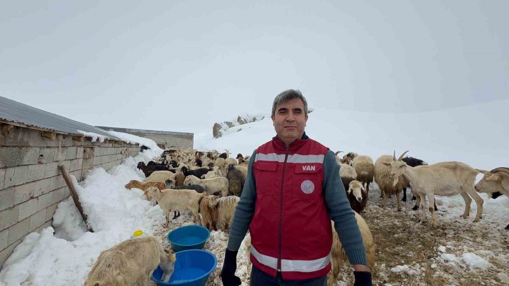 Suların donduğu bölgedeki hayvanlara su götürüldü