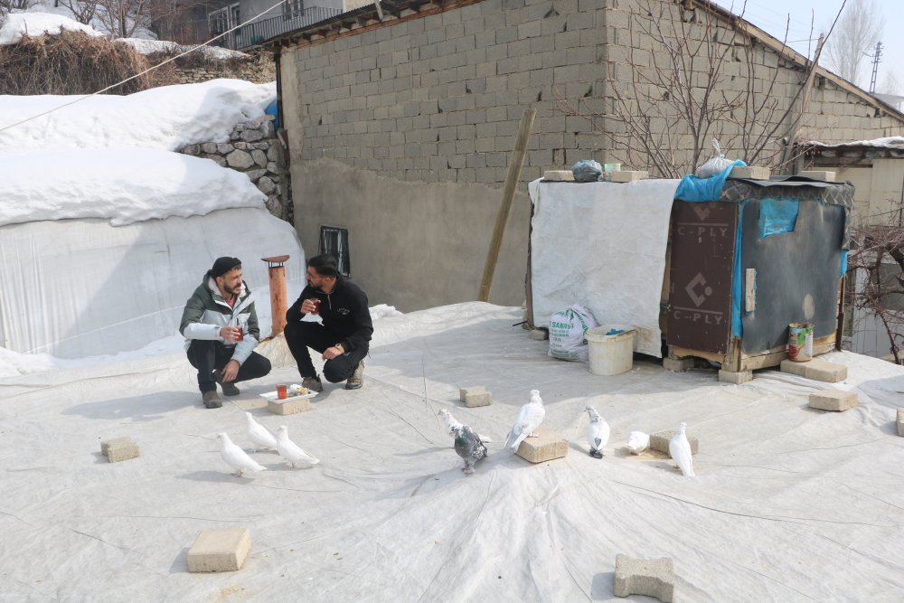 Evinin damında 3 ırktan 50 güvercin besliyor