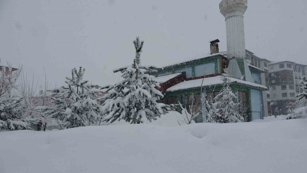 Bitlis’te 304 köy yolu ulaşıma kapandı