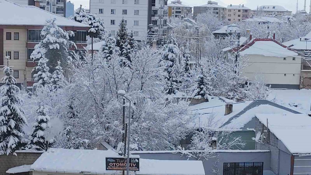 Erciş’te yoğun kar yağışı etkili oldu