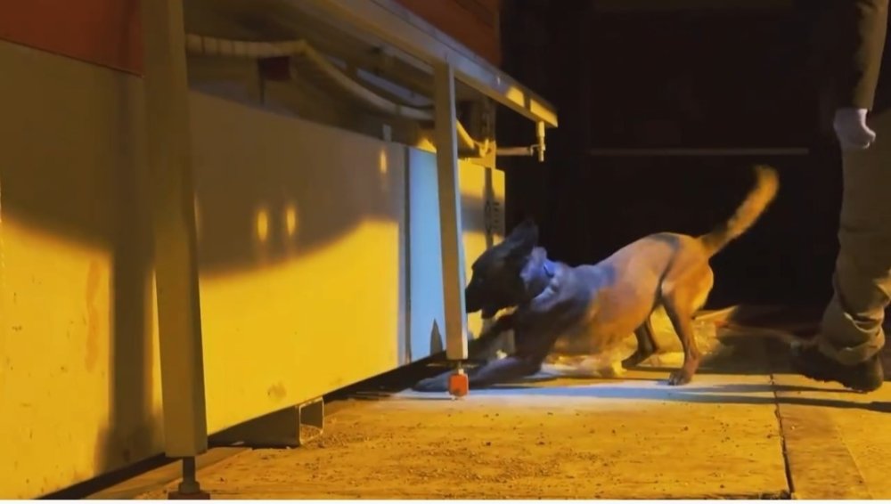 Tır dorsesinde 68 kilo 500 gram uyuşturucu ele geçirildi