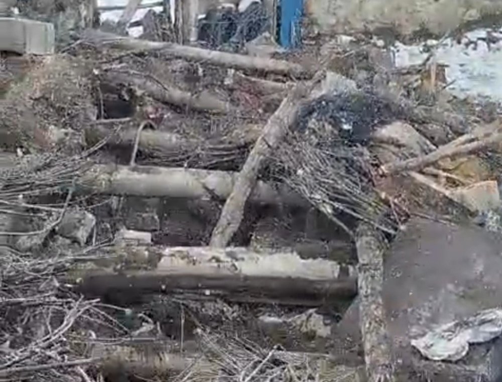 Başkale’de ahır çöktü: 20 küçükbaş hayvan göçük altında kaldı