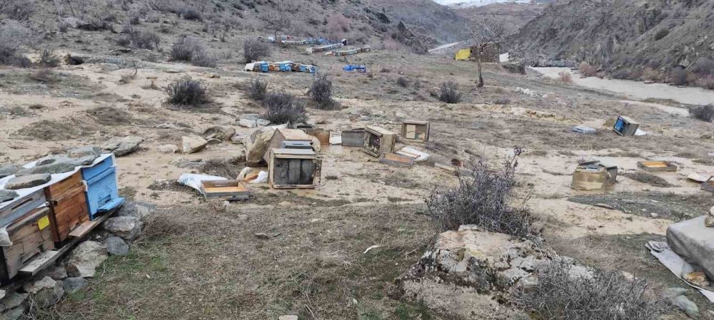Hakkari’de yaşanan selde 150 kovan zarar gördü