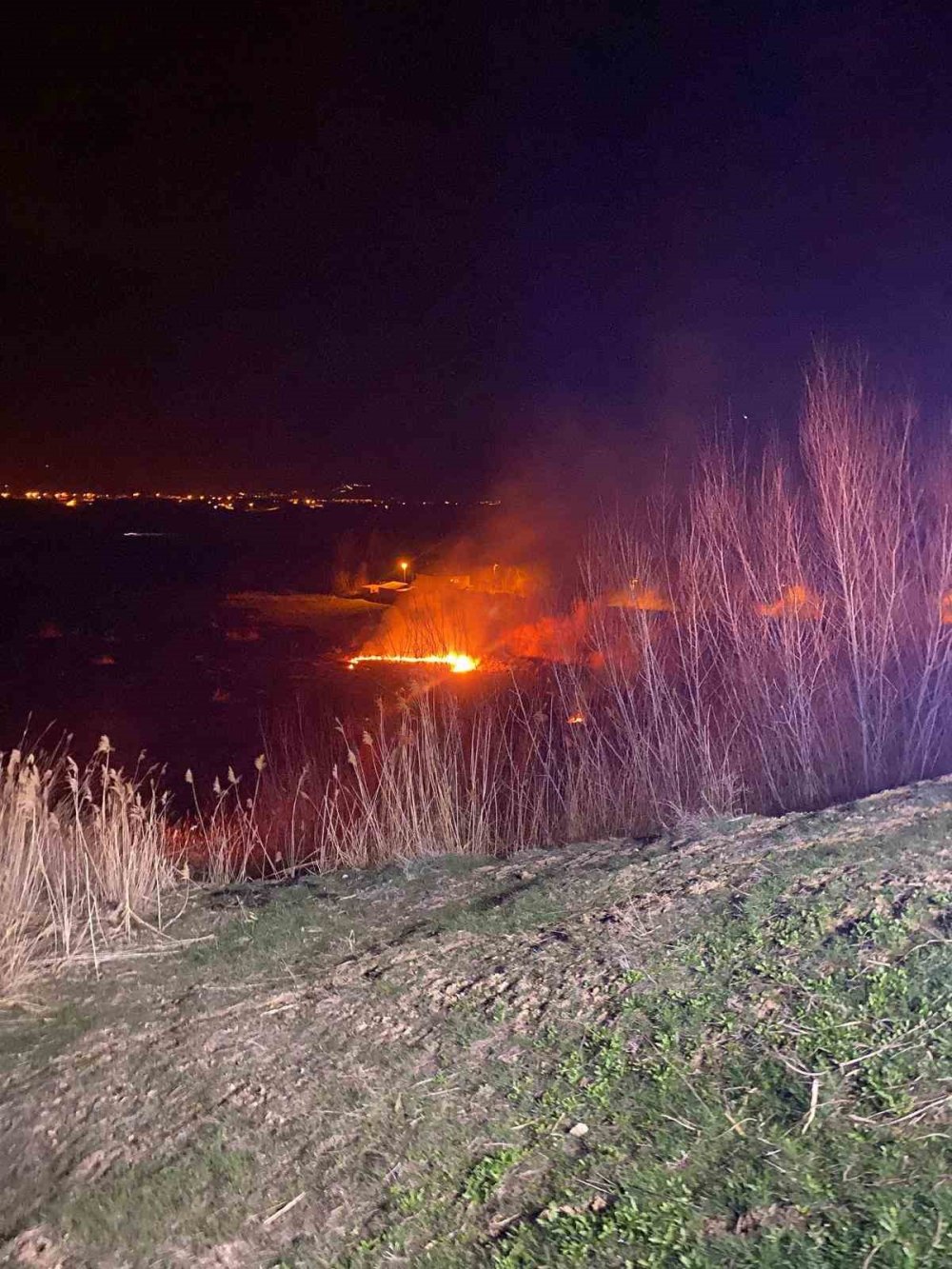 Van’da sazlık alanda yangın