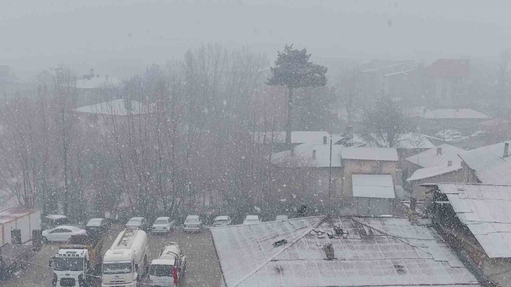 Erciş’te nisan ayında kar yağışı etkili oldu