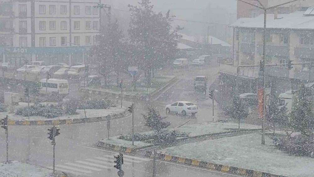 Erciş’te nisan ayında kar yağışı etkili oldu