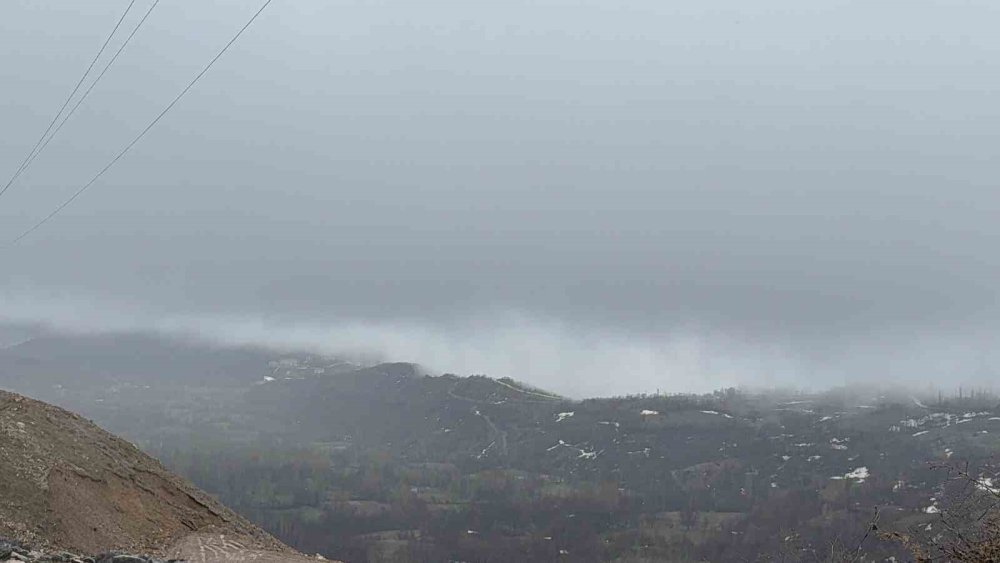 Hizan’da yoğun sis etkili oldu