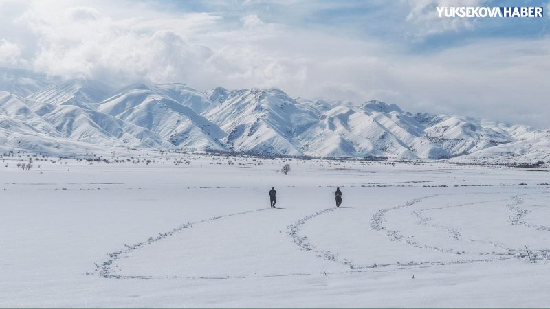 yuksekova-don-ekimi-kar-ustune-yonca-ekimi-001.jpeg