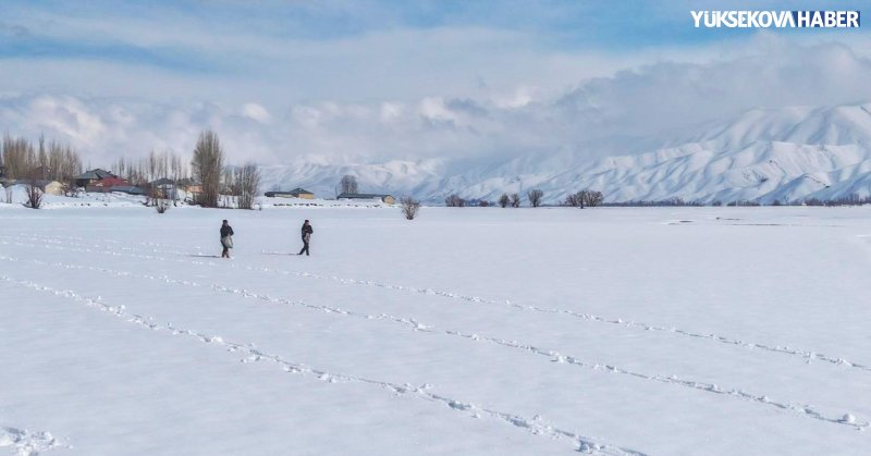 yuksekova-don-ekimi-kar-ustune-yonca-ekimi.jpeg