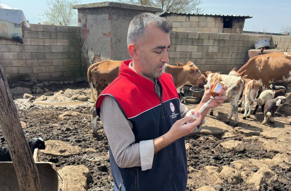 Cizre’de hayvan sağlığı için mesai
