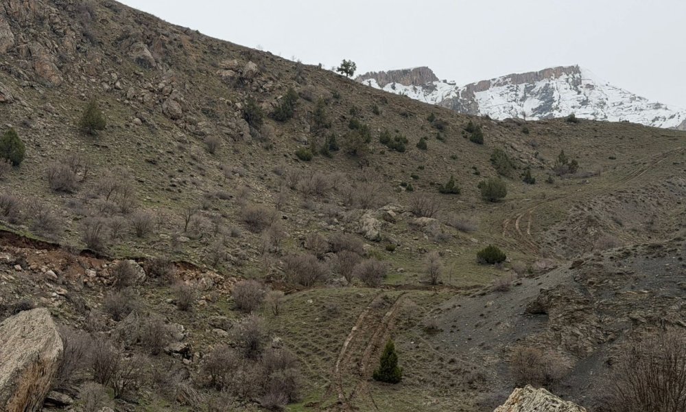 Van-Hakkari yolunda heyelan riski sürüyor