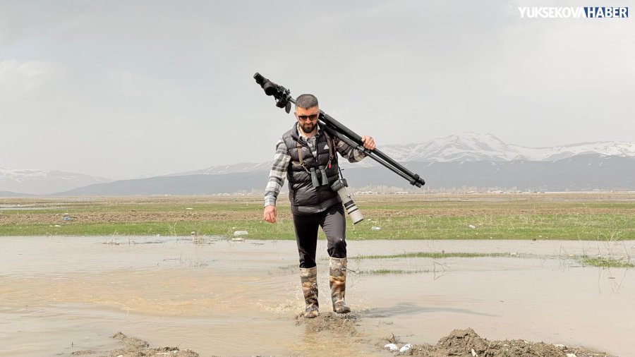 ahmet-kayhan-yuksekova-nehil-sazligi-kus-turleri-hakkari.jpeg