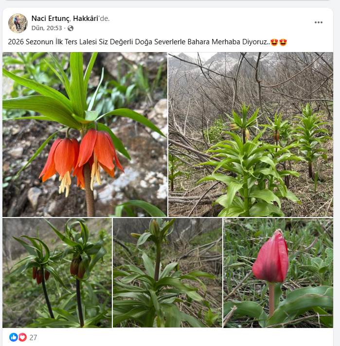 yeni-proje-9.jpg