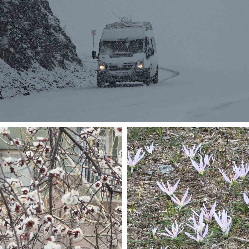 Van’da bir yanda bahar, diğer yanda kış