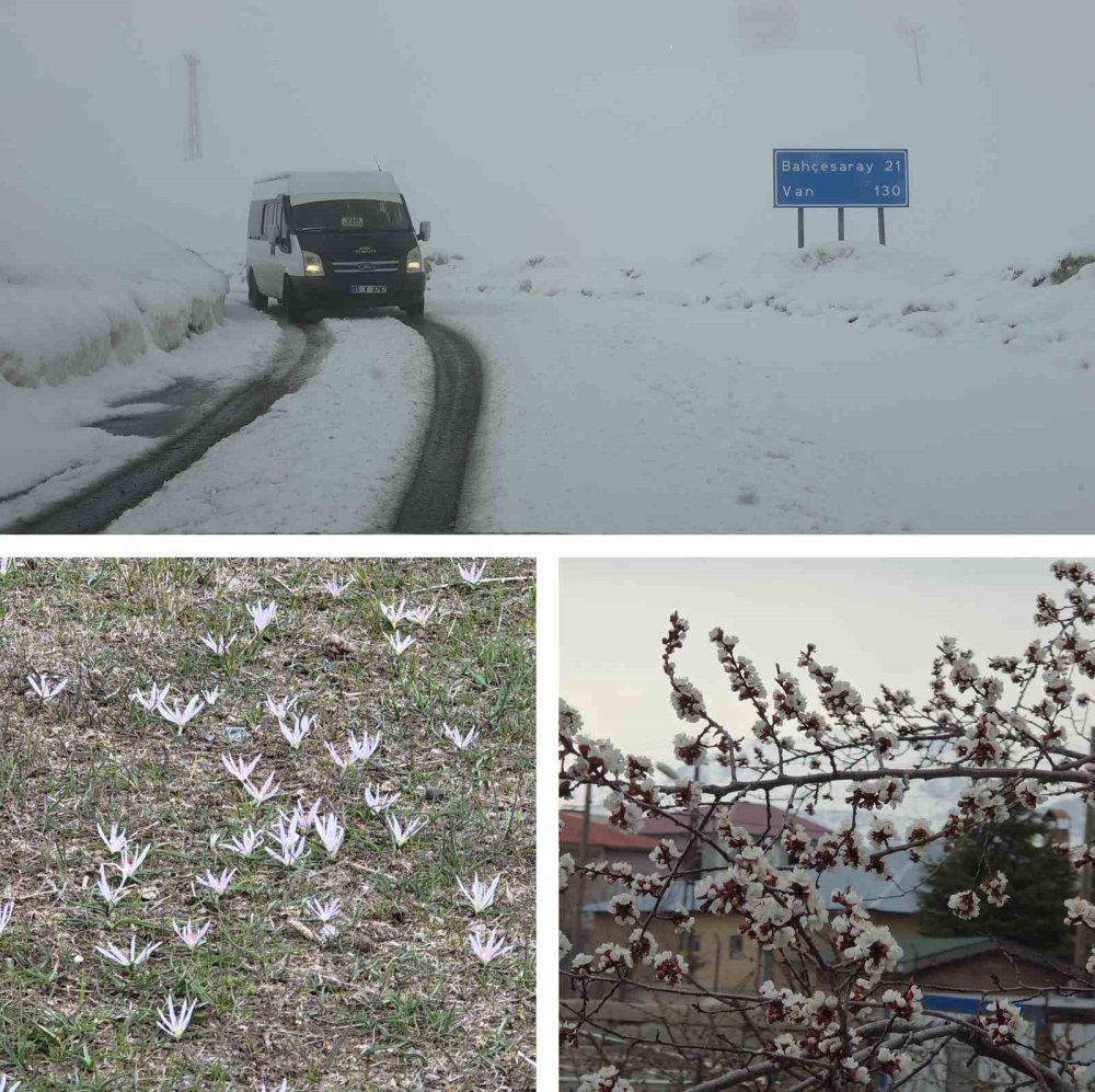 Van’da bir yanda bahar, diğer yanda kış