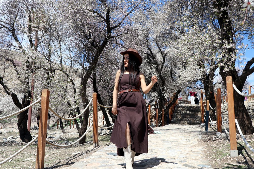 Badem ağaçlarının çiçekleriyle güzelleşen Akdamar Adası'nda ziyaretçi yoğunluğu