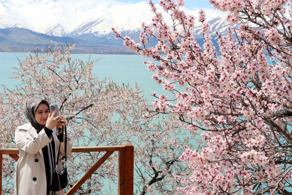 Badem ağaçlarının çiçekleriyle güzelleşen Akdamar Adası'nda ziyaretçi yoğunluğu